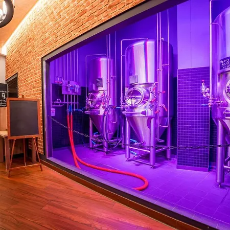 Hey Lou Frankfurt Airport Kelsterbach